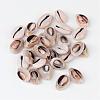 Natural Cowrie Shell Beads X-BSHE-S053-1