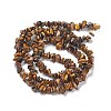 Natural Tiger Eye Chips Beads Strands F012-2-2