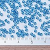 MIYUKI Round Rocailles Beads X-SEED-G007-RR0291-4