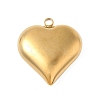 304 Stainless Steel Pendants STAS-S186-06B-G-1