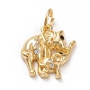 Brass Micro Pave Clear Cubic Zirconia Pendants KK-D532-07G-1