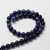 Natural Sodalite Round Beads Strands X-G-E329-10mm-39-2