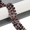 Natural Rhodonite Beads Strands G-H057-A12-01-2