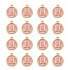 Golden Plated Alloy Enamel Charms LS-ENAM-S118-07H-2