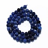Natural Sodalite Beads Strands G-G927-42-2