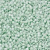 MIYUKI Delica Beads SEED-X0054-DB1506-3