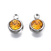 201 Stainless Steel Rhinestone Charms STAS-S068-18-3