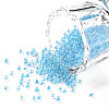11/0 FGB Grade A Transparent Glass Seed Beads X-SEED-N001-E-321-1