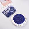 8/0 Glass Seed Beads SEED-A006-3mm-108-5