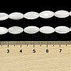 Natural Trochus Shell Beads Strands BSHE-G036-06B-4
