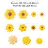 Resin Cabochons CRES-CJC0005-01B-2