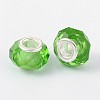 Handmade Glass European Beads GPDL25Y-17-2