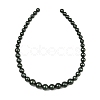 Electroplated Shell Pearl Graduated Beads Strands BSHE-C011-04-02-5
