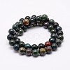 Natural Indian Bloodstone Beads Strands X-G-P257-07-8mm-2