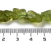 Raw Rough Natural Peridot Beads Strands G-P528-B05-02-4