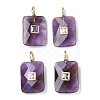 Natural Amethyst Pendants G-I391-03G-02-1
