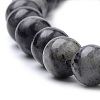 Natural Larvikite Beads Strands G-S259-06-12mm-3