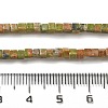 Natural Unakite Beads Strands G-B064-A10-5