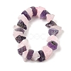 Natural Rose Quartz & Amethyst Beads Strands G-I283-F10-3