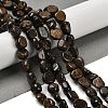 Natural Bronzite Beads Strands G-P497-01E-77-2