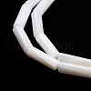 Freshwater Shell Beads Strands BSHE-L037-13-3