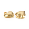 304 Stainless Steel Charms STAS-I149-02G-3