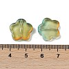 Transparent Glass Beads DGLA-E004-03D-3