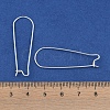 304 Stainless Steel Hoop Earring Findings LS-STAS-P223-01S-05-2