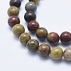 Natural Polychrome Jasper/Picasso Stone/Picasso Jasper Beads Strands G-E444-43-8mm-3