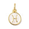 Real 18K Gold Plated Brass Enamel Charms KK-L216-001G-A02-1