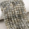 Natural Labradorite Beads Strands G-P611-C26-01-1