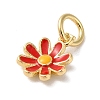 Brass Enamel Charms KK-L216-006G-02-2