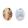 Natural Akoya Shell Pendants SHEL-N026-201-1