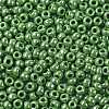 TOHO Round Seed Beads X-SEED-TR08-0130-2