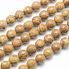 Natural Petrified Wood Beads Strands G-G542-6mm-06-2