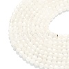 Natural Quartz Crystal Beads Strands G-A260-A45-01-3