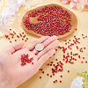 Picasso Baking Paint Glass Seed Beads SEED-TA0001-62I-5
