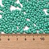 Baking Paint Glass Seed Beads SEED-K009-01A-10-4