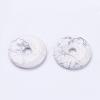 Natural Howlite Pendants G-F524-H03-1