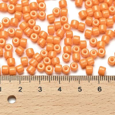 Baking Paint Pearlized Glass Seed Beads SEED-C001-04A-19-1