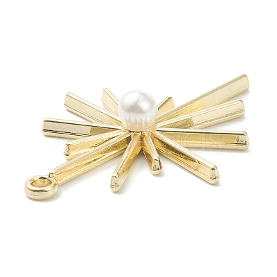 Alloy Pendants PALLOY-E580-05LG-1