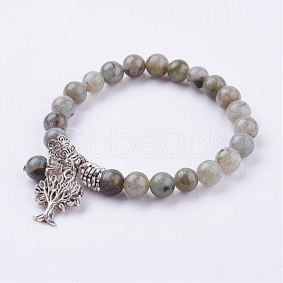 Natural Labradorite Stretch Bracelets BJEW-F262-A10-1