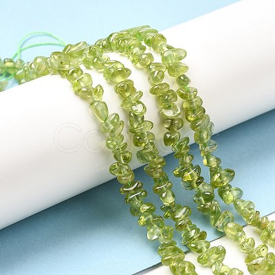 Natural Peridot Beads Strands G-F328-34A-1