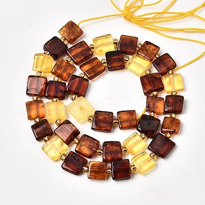 Natural Amber Beads Strands G-C260-A01-05-1