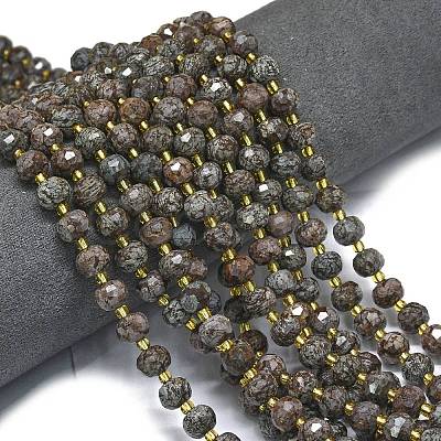 Natural Snowflake Obsidian Beads Strands G-K389-E32-01-1