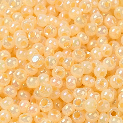 Glass Seed Beads SEED-H002-H-1307-1