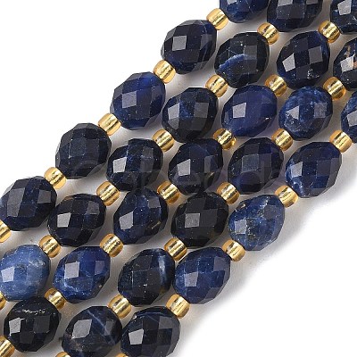 Natural Sodalite Beads Strands G-F809-A19-01B-1