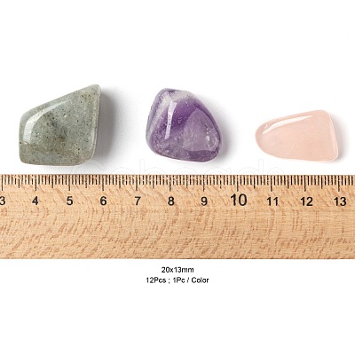 12Pcs No Hole/Undrilled Natural Gemstone Beads G-FS0001-28-1