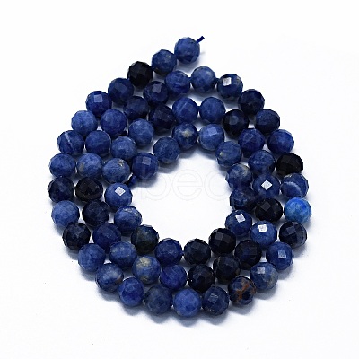 Natural Sodalite Beads Strands G-G927-42-1