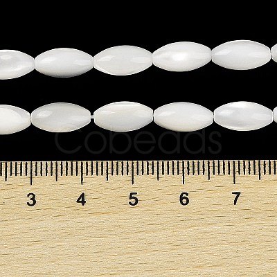 Natural Trochus Shell Beads Strands BSHE-G036-06B-1